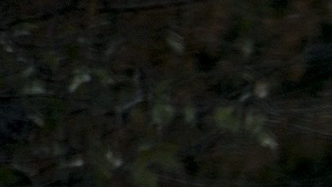 La foto le costó el anterior puesto de trabajo a Briskman.