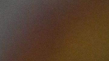 William Taylor (d) y George Kent (i) declararon en la audiencia pública.