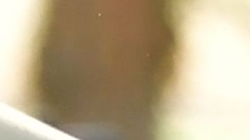 Las escenas afuera de la escuela Saugus.