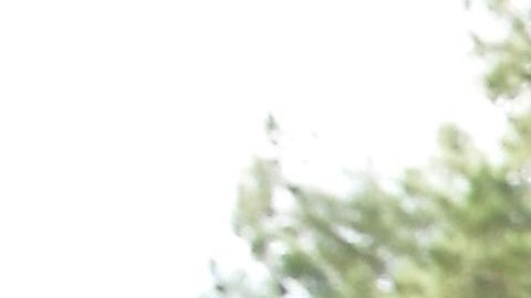 Las escuelas siguen siendo los espacios más seguros para menores.