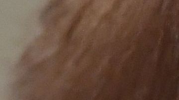 Trump dijo que Yovanovitch era "una mala noticia".