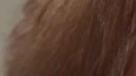 Trump dijo que Yovanovitch era "una mala noticia".