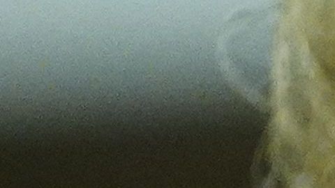 Mina Chang trabajó desde abril en el Departamento de Estado.