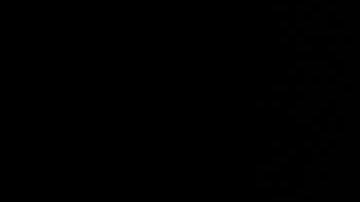 Periodistas y medios de comunicación habían especulado con que a Trump le dolía el pecho.