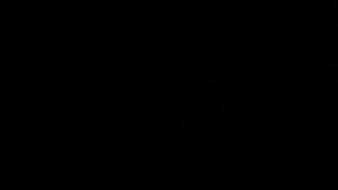 Periodistas y medios de comunicación habían especulado con que a Trump le dolía el pecho.