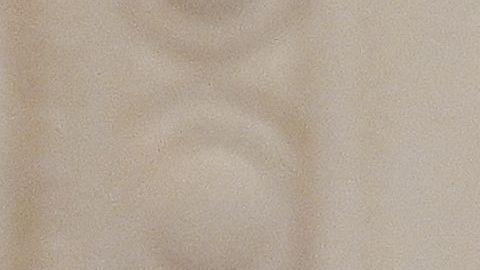 Trumo firmó la ley horas antes de que se cumpliera el plazo.