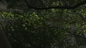 Más presión sobre los taxis amarillos