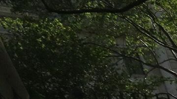 Más presión sobre los taxis amarillos