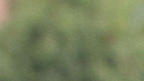 Poco se menciona de los avances de estudiantes de las minorías.