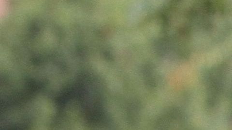 Poco se menciona de los avances de estudiantes de las minorías.