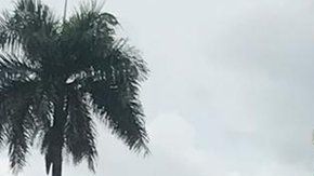 En la fábrica de Maracay se ha colocado la imagen del expresidente Hugo Chávez.