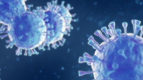 109490937_gettyimages-1127490587