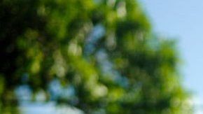 109530552_gettyimages-1179956971