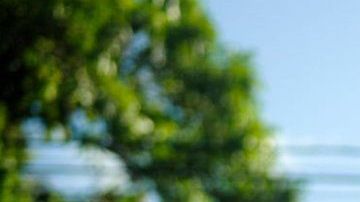 109530552_gettyimages-1179956971