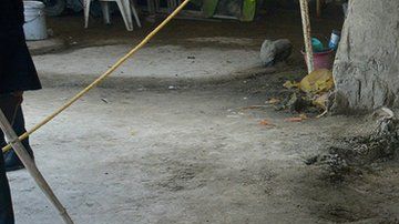 Los restos fueron hallados "por casualidad" durante una excavación.