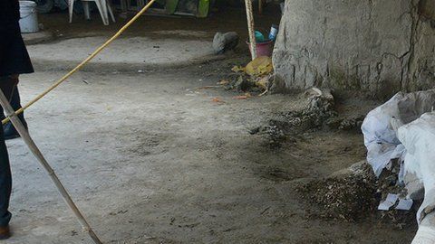 Los restos fueron hallados "por casualidad" durante una excavación.