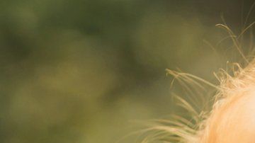 109671653_gettyimages-1148622348