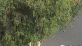 109710784_ccf23dc4-a1ce-44b3-9cff-f62d5dfebdfe