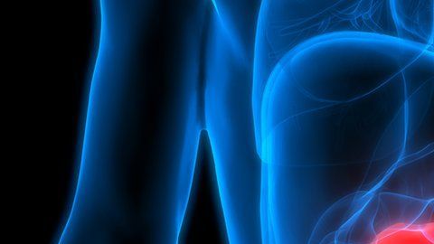 Los científicos observaron que mezclando dos medicamentos obtenían resultados positivos para reducir tumores.