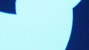 Twitter anunció que empezará a eliminar las cuentas a partir del 11 de diciembre