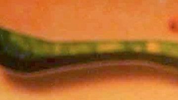 Fernando Reina y Galilea Montijo.