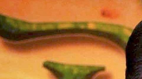 Fernando Reina y Galilea Montijo.