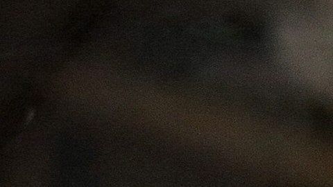 El sorteo de Loto Plus alcanza el bote récord de USD$30 millones.