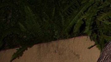 Biby Gaytán y Eduardo Capetillo.