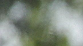 Familias migrantes son procesadas en la Estación Central de Autobuses en McAllen.