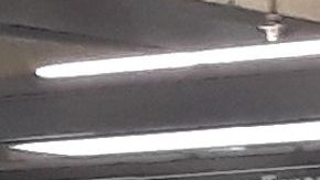 El Metro de NYC, “la isla del Dr. Moreau”