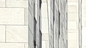 El árbol pesa unas 12  toneladas. 