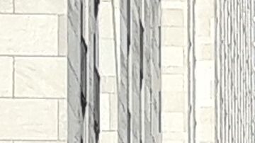 El árbol pesa unas 12  toneladas. 