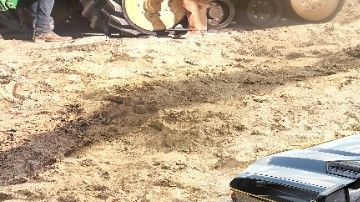 Silverado HD Carhartt Special Edition 2021