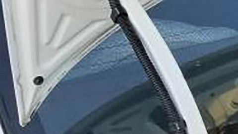 Un caso de indocumentados en  cajuela registrado en Arizona en 2018.