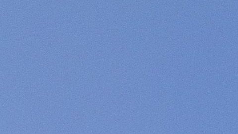 Traficantes siguen haciendo de las suyas para atravesar el muro.