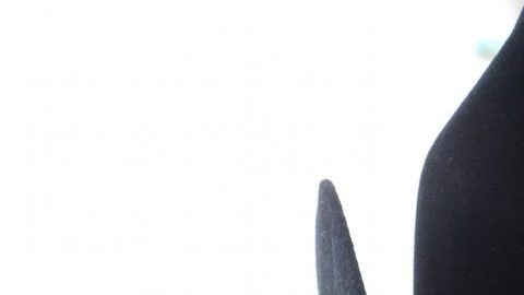 5726-BEBETOmiamiPS104