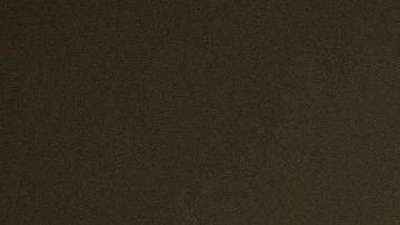 Roger Stone fue detenido  en Florida