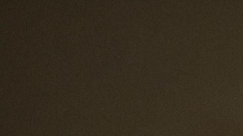 Roger Stone fue detenido  en Florida