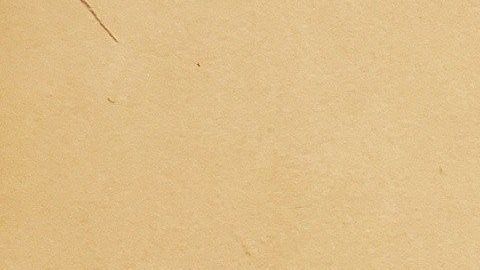 "El Chapo" escuchó el contundente argumento de la ayudante de la Fiscalía.