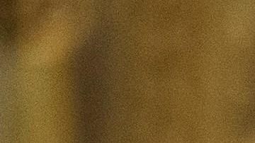 El presidente Trump considerará "seriamente" acudir a la Cámara.