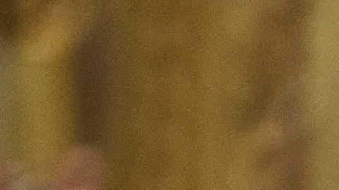 El presidente Trump considerará "seriamente" acudir a la Cámara.