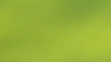 El presidente Trump se resiste a revelar sus reportes de impuestos.