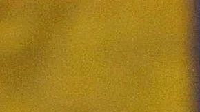 El club prohibió la entrada al líder de la barra al estadio hasta la temporada 2030-2031.