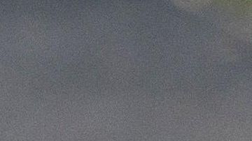 Trump propuso a López Obrador declarar la guerra al crimen organizado.