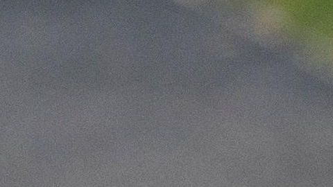 Trump propuso a López Obrador declarar la guerra al crimen organizado.