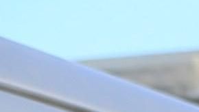 Autoridades continúan la búsqueda de los autores de la masacre de una familia mormona.