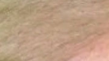 Donald Trump negó haberle pedido a William Barr que lo defendiera.