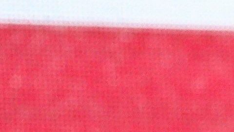 Se llevó a cabo el sorteo para la Copa del Rey 2019-2020.