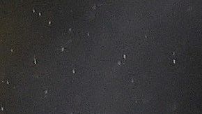 Raúl Jiménez lleva 15 goles en todas las competiciones.