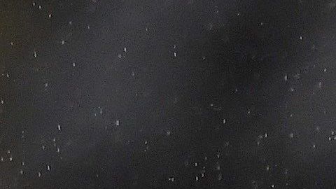 Raúl Jiménez lleva 15 goles en todas las competiciones.